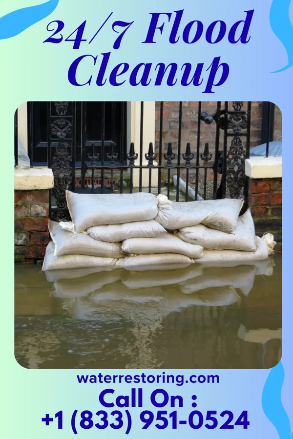 24/7 Flood Cleanup in Idalou, TX