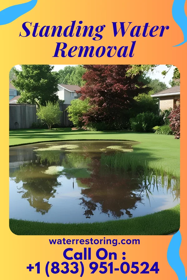Standing Water Removal in Idalou, TX